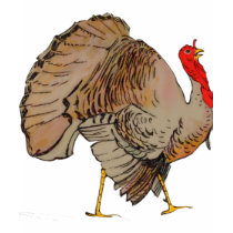 TURKEY Thanksgiving 2009 t-shirts