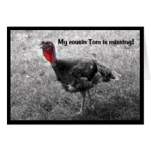 Turkey Thanksgiving Humor Cards