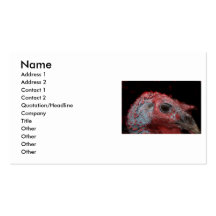 Turkey Tom head shot picture photograph Business Card