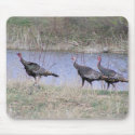Turkey Trio By Water mousepads