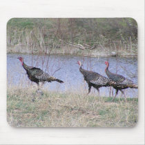 Turkey Trio By Water mousepads