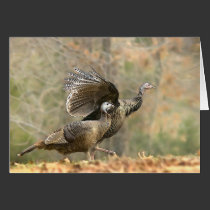 Turkey Trot cards