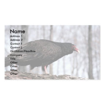Turkey vulture business card
