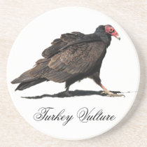 TURKEY VULTURE DRINK COASTER