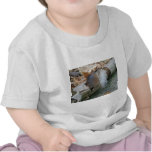 Turkey Vulture Feather Coordinating Items t-shirts