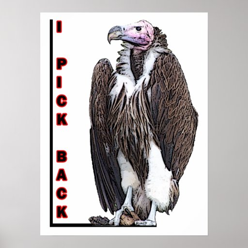 Turkey Vulture I Pick Back Posterized Photo