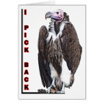 Turkey Vulture I Pick Back Posterized Photo Greeting Card