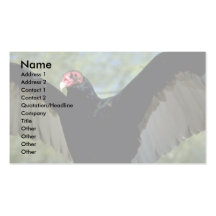 Turkey vulture spreading large wings business card