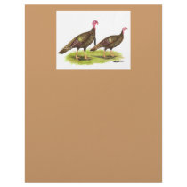 Turkey:  Wild Bronze letterhead