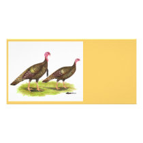 Turkey:  Wild Bronze photo cards
