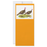 Turkey:  Wild Bronze rack cards