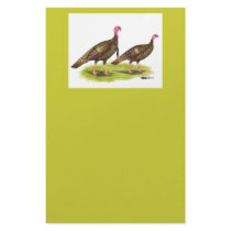 Turkey:  Wild Bronze stationery