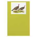 Turkey:  Wild Bronze stationery