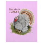 Turkey:  World Class flyers