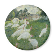 Turkeys (1876) magnets