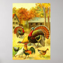 Turkeys and chickens posters