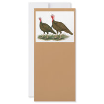 Turkeys:  Chocolate rack cards