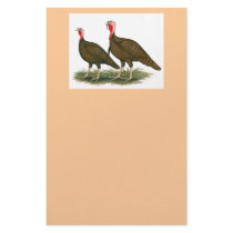 Turkeys:  Chocolate stationery
