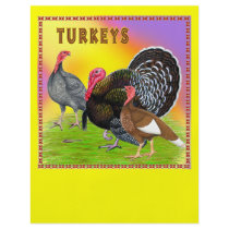 Turkeys:  Colorful Thanksgiving! flyers