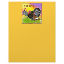 Turkeys:  Colorful Thanksgiving! letterhead