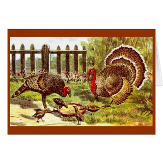 Turkeys in the Yard Eating Mash Card