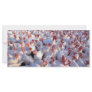 Turkeys Rack Card Template
