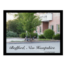 Turkies salvaje en postal de Bedford, New Hampshir