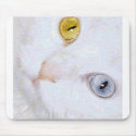 Turkish Angora- 2 different eye colors mousepads