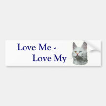 Turkish Angora Cat Bumper Sticker