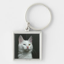 TURKISH ANGORA CAT KEY CHAINS