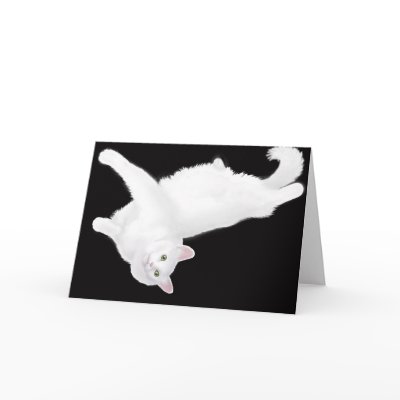 Turkish Angora Cat Lounging Card