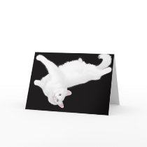 Turkish Angora Cat Lounging Card by twopurringcats Turkish Angora Cat Lounging Card