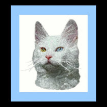 Turkish Angora Cat Prints and Posters
