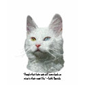 Turkish Angora Cat Shirts