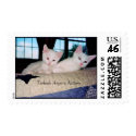 Turkish Angora Kittens Postage postage
