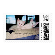 Turkish Angora Kittens Postage