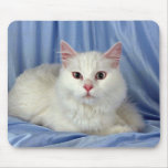 Turkish Angora, white Mousepad