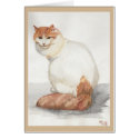 Turkish Cat cards