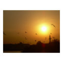 Turkish Sunset posters
