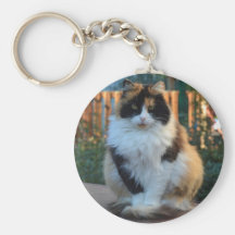 Turkish Van Keychains