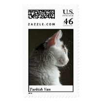 Turkish Van postage by TurkishVan Turkish Van postage