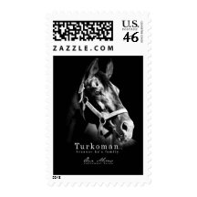 Turkoman Postage - <em>Because He's Family</em>