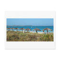 Turks & Caicos Islands postcards