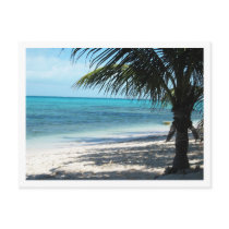 Turks & Caicos Islands Postcard