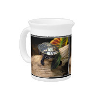 turle on log_9x12 pitchers