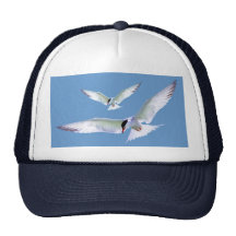 Turn Tern Turn Trucker Hat