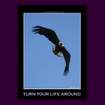 TURN YOUR LIFE AROUND ~ Photo Poster