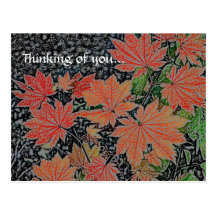 Turning Laves of Autumn Postcard