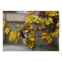 turning leaves cards