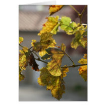 turning leaves cards